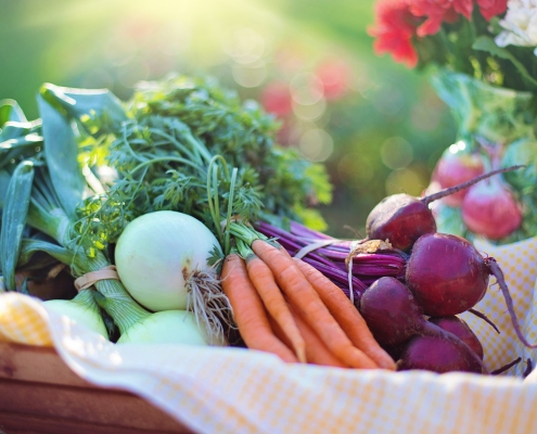 Gastronomy. Food. Fruit. Mallorca.